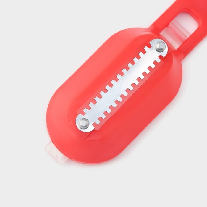 Рыбочистка многофункциональная Доляна «Комфорт», 3 в 1, 19 см, с контейнером и ножом, цвет МИКС Рыбочистка многофункциональная Доляна «Комфорт», 3 в 1, 19 см, с контейнером и ножом, цвет МИКС