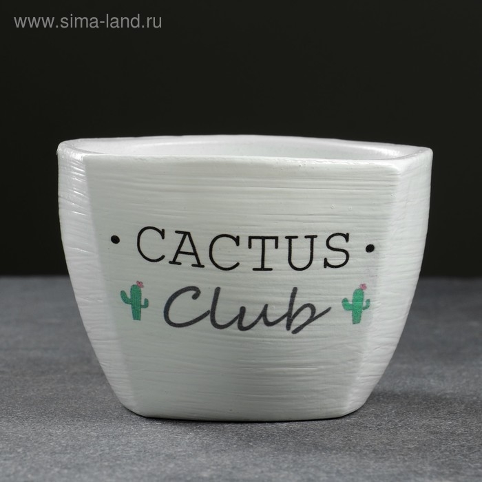 Кашпо Кактус  белый 0,5 л Кашпо Кактус  белый 0,5 л