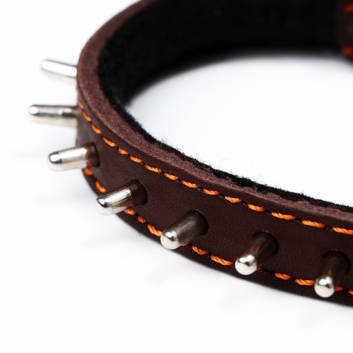 Ошейник кожаный на синтепоне, Ошейник кожаный на синтепоне, "Ёж" 36 х 1.5 см, ОШ 20-30 см, коричневый