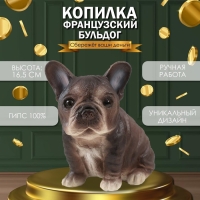 Копилка "Щенок Французского бульдога" 16,5 х 11,5 х 18 см.