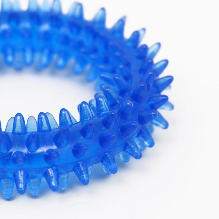 Игрушка жевательная для собак Игрушка жевательная для собак "Игольчатое кольцо", 9 см, синяя