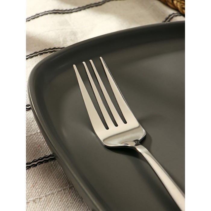 Вилка столовая из нержавеющей стали Magistro «Блинк», 21,5×3 см, цвет серебряный Вилка столовая из нержавеющей стали Magistro «Блинк», 21,5×3 см, цвет серебряный