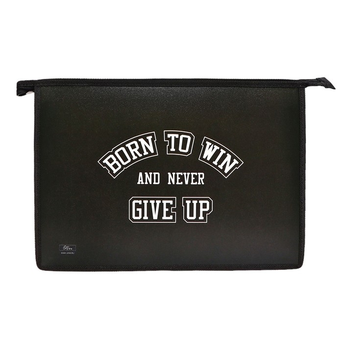 Папка для тетрадей А4, 325 х 230 х 55 мм, молния сверху, пластиковая, ПМ-А4-29 Calligrata Папка для тетрадей А4, 325 х 230 х 55 мм, молния сверху, пластиковая, ПМ-А4-29 Calligrata "Победитель"