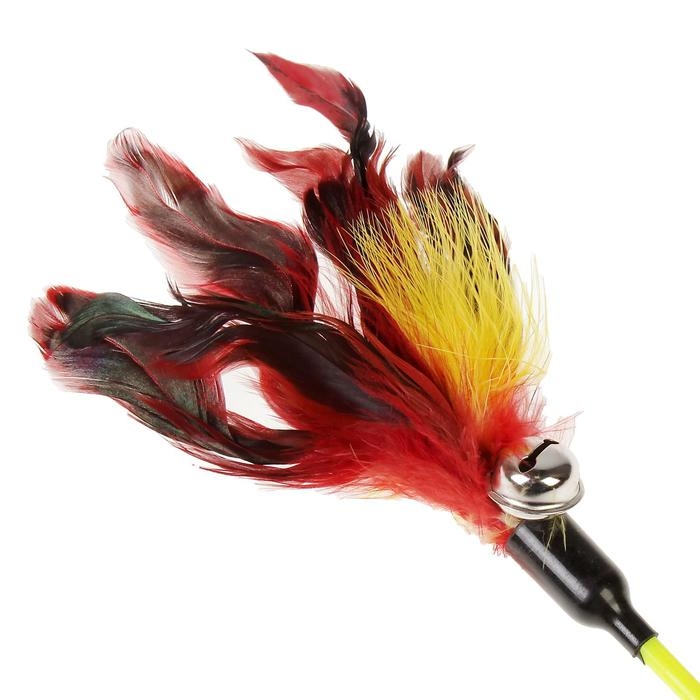 Дразнилка  Дразнилка "Фазан" с бубенчиком, 50 см, микс цветов