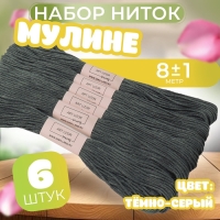 Набор ниток мулине №413, 8 ± 1 м, 6 шт, цвет тёмно-серый