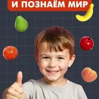 Набор для сортировки &laquo;Считай и сортируй. Фрукты&raquo;