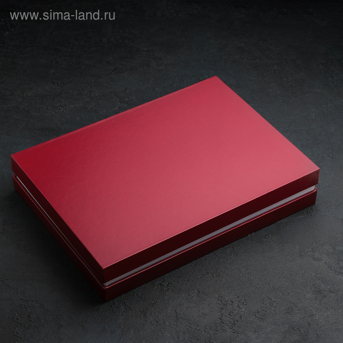 Набор столовых приборов &laquo;Мондиал&raquo;, 24 предмета, толщина 2,5 мм, декоративная коробка