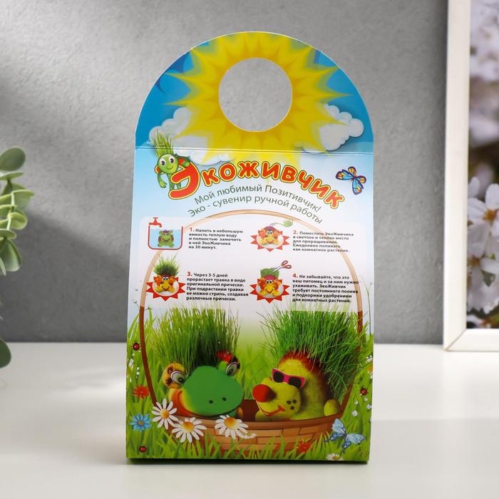 Растущий подарок травка Экоживчик Растущий подарок травка Экоживчик "Домовой"