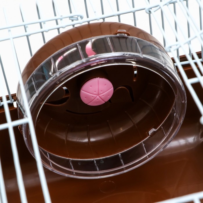 Клетка для грызунов Клетка для грызунов "Пижон", 27 х 21 х 17 см, коричневая