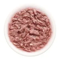 Влажный корм для кошек &laquo;Деревенские лакомства&raquo;, филейная утка в нежном желе, пауч, 70 г