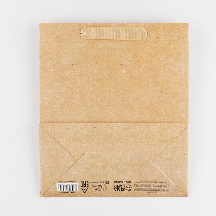 Пакет подарочный ламинированный, упаковка, &laquo;Крафтовый&raquo;, ML 23 х 27 х 11.5 см