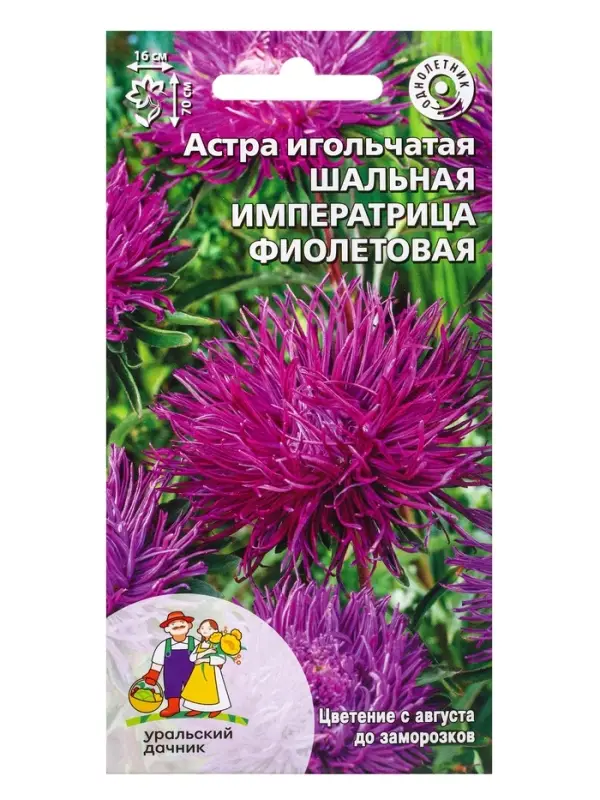 Семена Цветы Астра игольчатая Шальная императрица фиолетовая (УД) Е/П , Е/П,  0,2 г.