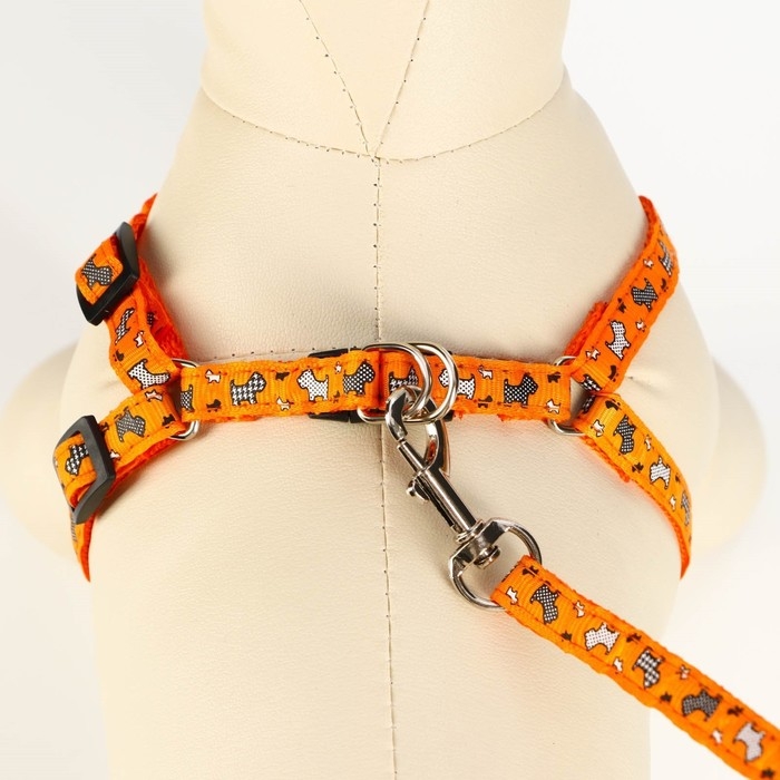 Комплект  Комплект "Собачки", ширина 1 см, поводок 1,2 м, шлейка 23-35 см, оранжевый