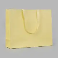 Пакет подарочный, ламинированный, горизонтальный, &laquo;Молочный&raquo;, 48&times;39&times;16 см