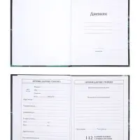 Дневник школьный для 1-4 классов, &laquo;Байк&raquo;, твёрдая обложка 7БЦ, матовая ламинация, 48 листов