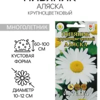 Семена цветов Нивяник "Аляска", крупноцветковый, Мн, 0,2 г