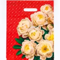 Пакет подарочный &laquo;Чувства&raquo; полиэтиленовый с вырубной ручкой, ламинированный 31&times;40 см, 30 мкм