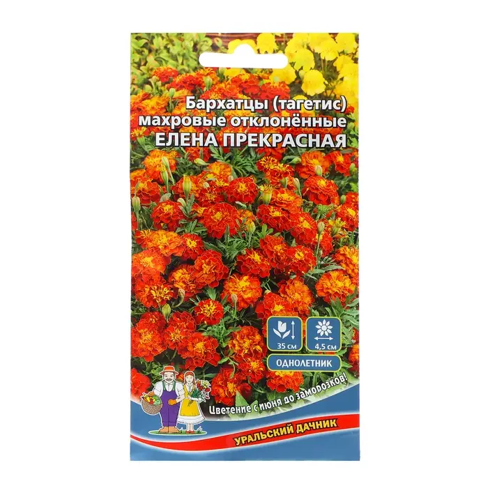 Семена Цветов Бархатцы махровые  "Елена прекрасная" ,   0 ,2 г