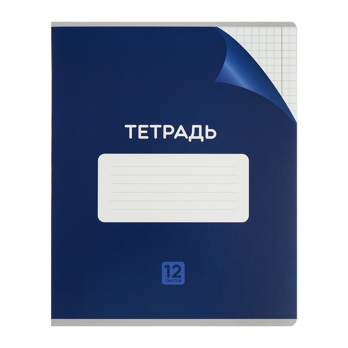 Комплект тетрадей из 10 штук, 12 листов в клетку Calligrata Комплект тетрадей из 10 штук, 12 листов в клетку Calligrata "Однотонная Классика с уголком", обложка мелованный картон, ВД-лак, блок №2, белизна 75% (серые листы), 5 видов по 2 штуки