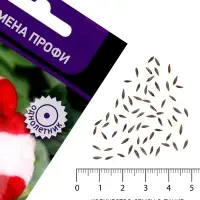 Семена цветов Петуния крупноцветковая &laquo;Танго&raquo; красная с белой звездой, 15 шт.
