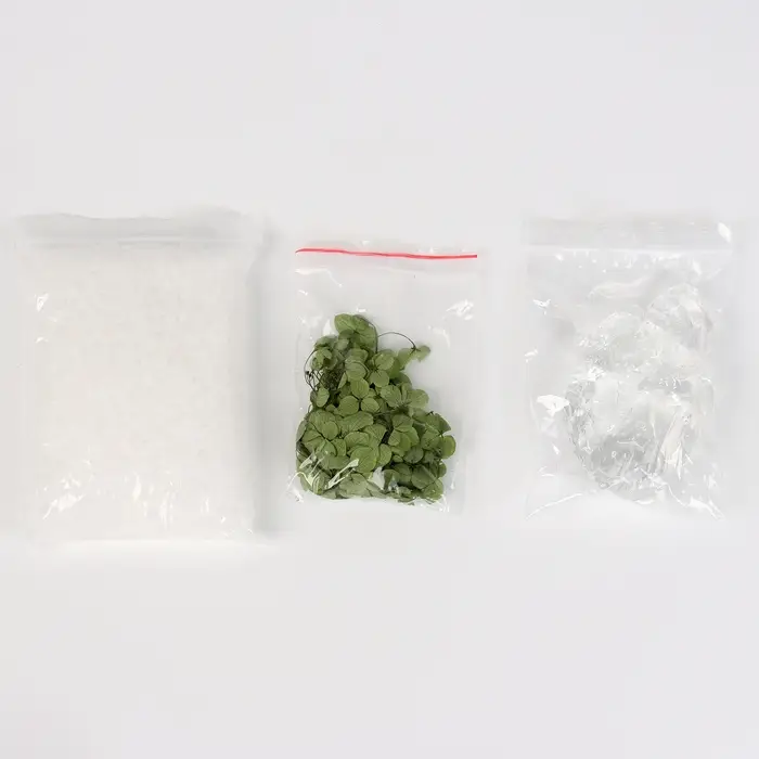 Свеча своими руками. Создание ароматической свечи с сухоцветами &laquo;Зеленое яблоко&raquo;, набор для творчества