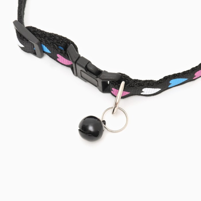 Ошейник двухслойный с фастексом Ошейник двухслойный с фастексом "Сердечки" 30 х 1 см, чёрный