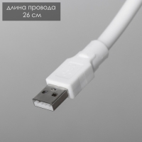 Светильник "Сомани" LED сенсорный 3000-6000К 5Вт USB 10х10х15см RISALUX