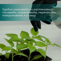 Кассета для выращивания рассады, на 200 ячеек, по 7 мл, из пластика, чёрная, 55 × 28 × 4 см, Greengo