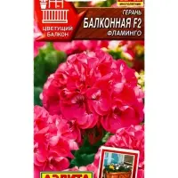 Семена цветов Герань Балконная фламинго F2 Мн Цветущий балкон, Ц/П,5 шт. Семена цветов Герань Балконная фламинго F2 Мн Цветущий балкон, Ц/П,5 шт.