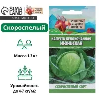 Семена Капуста белокочанная &laquo;Июньская&raquo;, 0.5 г, скороспелая, &laquo;Рецепты дедушки Никиты&raquo;
