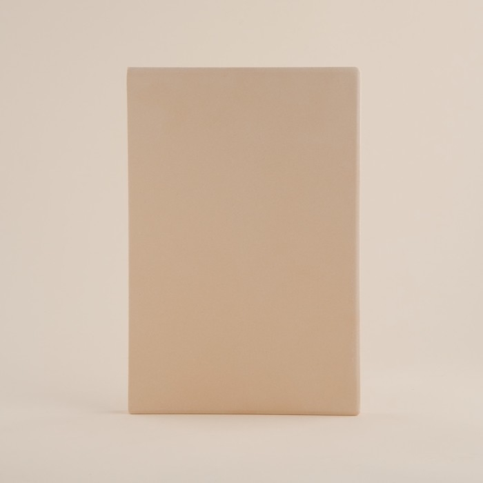 Пекарский камень SL Home «Вомеро», 30×20 см, толщина 1,5 см, цвет бежевый Пекарский камень SL Home «Вомеро», 30×20 см, толщина 1,5 см, цвет бежевый