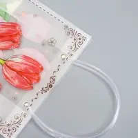 Пакет подарочный прозрачный &laquo;Тюльпаны&raquo;, 22&times;10&times;24 см