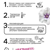 Семена комнатных цветов Глоксиния Аванти &laquo;Светло-фиолетовая&raquo;, F1, &laquo;Гавриш&raquo;, 4 шт.
