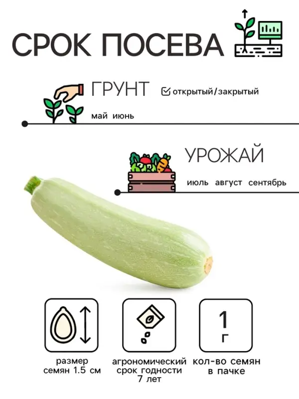 Семена Кабачок  Семена Кабачок "Белоплодные", 1 г