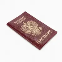 Обложка для паспорта, натуральная кожа, тиснение фольгой, крокодил, бордовая