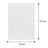 Файл-вкладыш А5 158x223  без перфорации , 110 мкм, верт. 3127.К