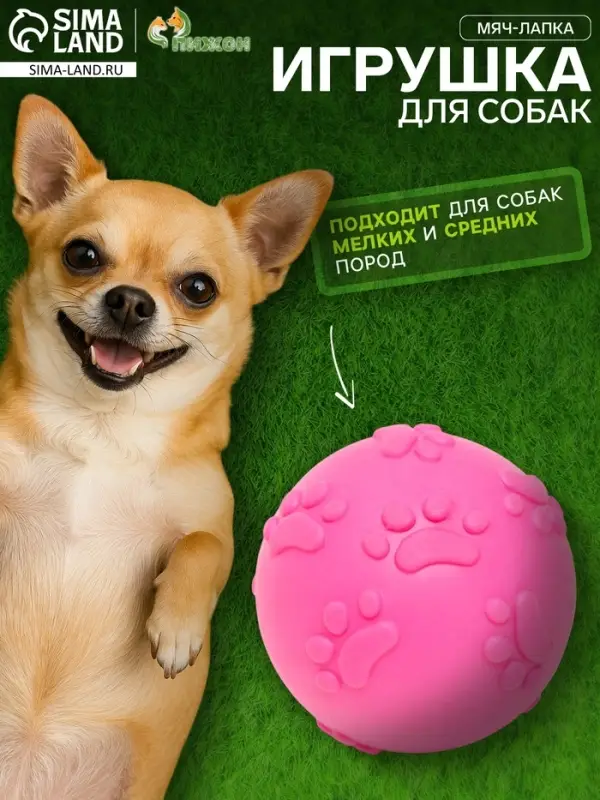 Игрушка для собак &laquo;Мяч-лапка&raquo;, 6 см, TPR, розовая