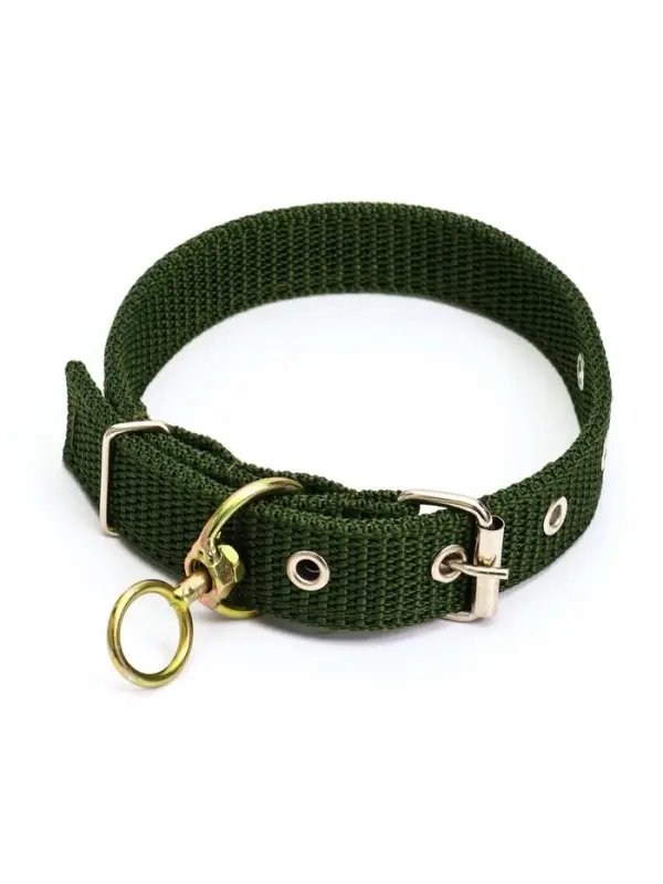 Ошейник двухслойный с вертлюгом, 2.5 см, зелёный