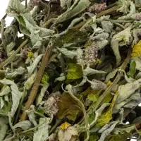 Веник для бани, мята, 45 (&plusmn; 5 см), &laquo;Добропаровъ&raquo;