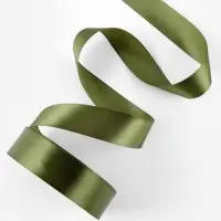 Лента атласная, 25 мм, 23&plusmn;1 м, тёмно-зелёная №113