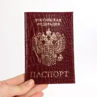 Обложка для паспорта, натуральная кожа, тиснение фольгой, крокодил, бордовая