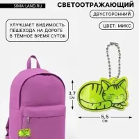 Светоотражающий элемент &laquo;Кошечка&raquo;, двусторонний, 5.5&times;3.7 см, МИКС
