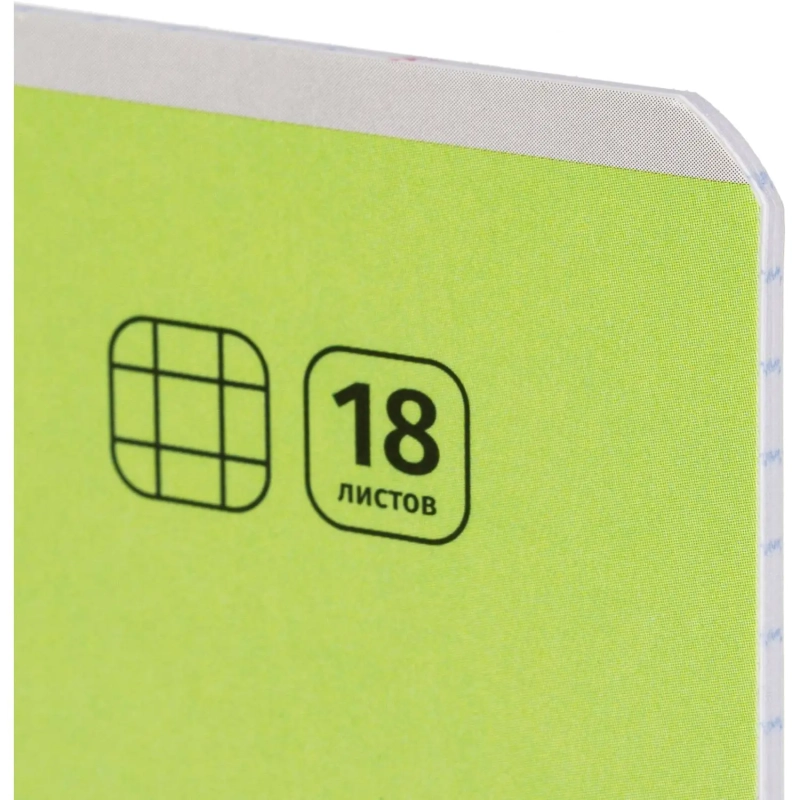 Тетрадь школьная Комус Класс А5 18 л клетка, Зеленый 10 шт./уп