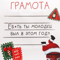 Пакет подарочный новогодний крафтовый «Молодец», 22 х 22 х 11 см, Новый год