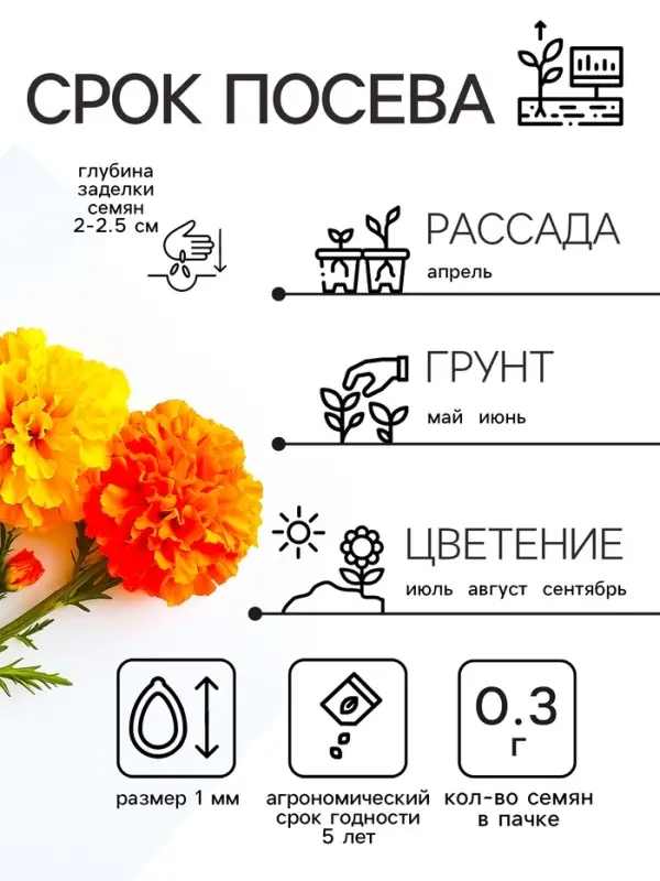 Семена цветов Бархатцы отклонённые  Семена цветов Бархатцы отклонённые "Петит", смесь, 0,3 г