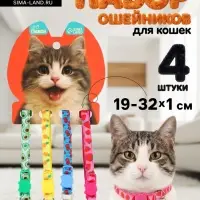 Набор ошейников для кошек &laquo;Пижон. Фрукты&raquo;, 19-32&times;1 см, 4 шт.