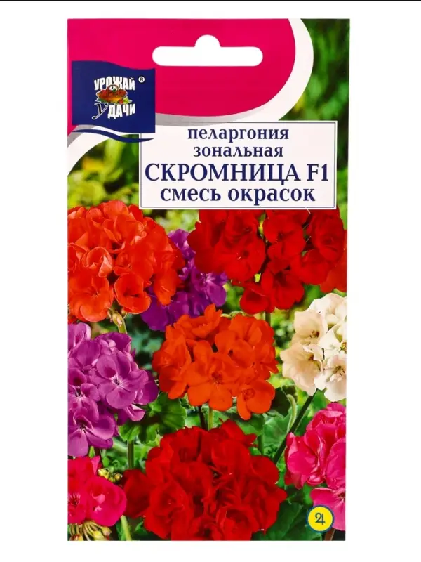 Семена цветов Пеларгония зон. Смесь СКРОМНИЦА 0,03 г.