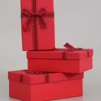 Набор подарочных коробок 3 в 1, прямоугольные 23&times;16&times;9.5 21&times;14&times;8.0 19&times;12&times;6.5 см