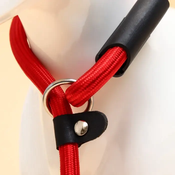 Ринговка для собак, 130&times;1 см, красная