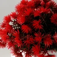 Искусственный цветок в горшке &laquo;Пушистые колючки&raquo;, 9&times;13 см, МИКС